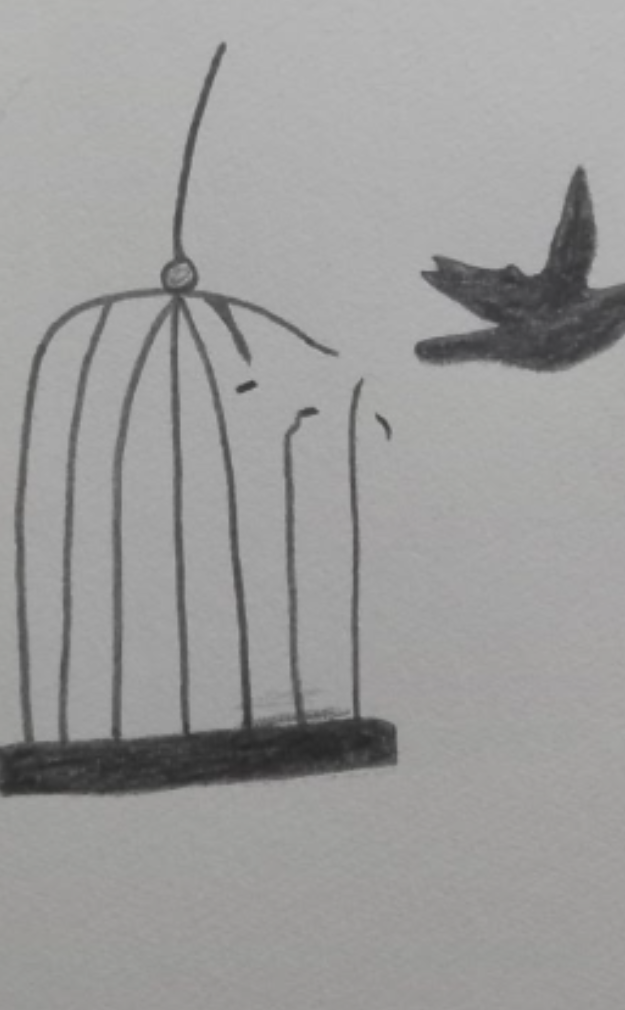 The Silent Bird